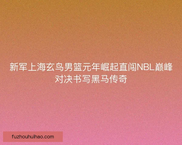 新军上海玄鸟男篮元年崛起直闯NBL巅峰对决书写黑马传奇